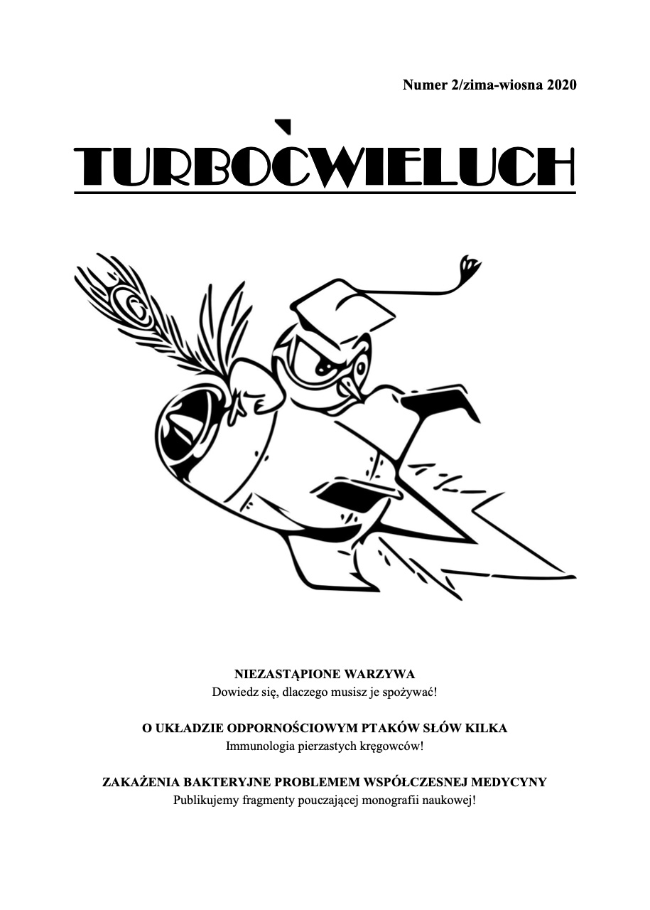  TurboĆwieluch 2